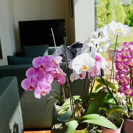 Maison Proche Des 24h Du Mans * Changé
